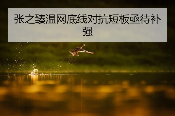 张之臻温网底线对抗短板亟待补强