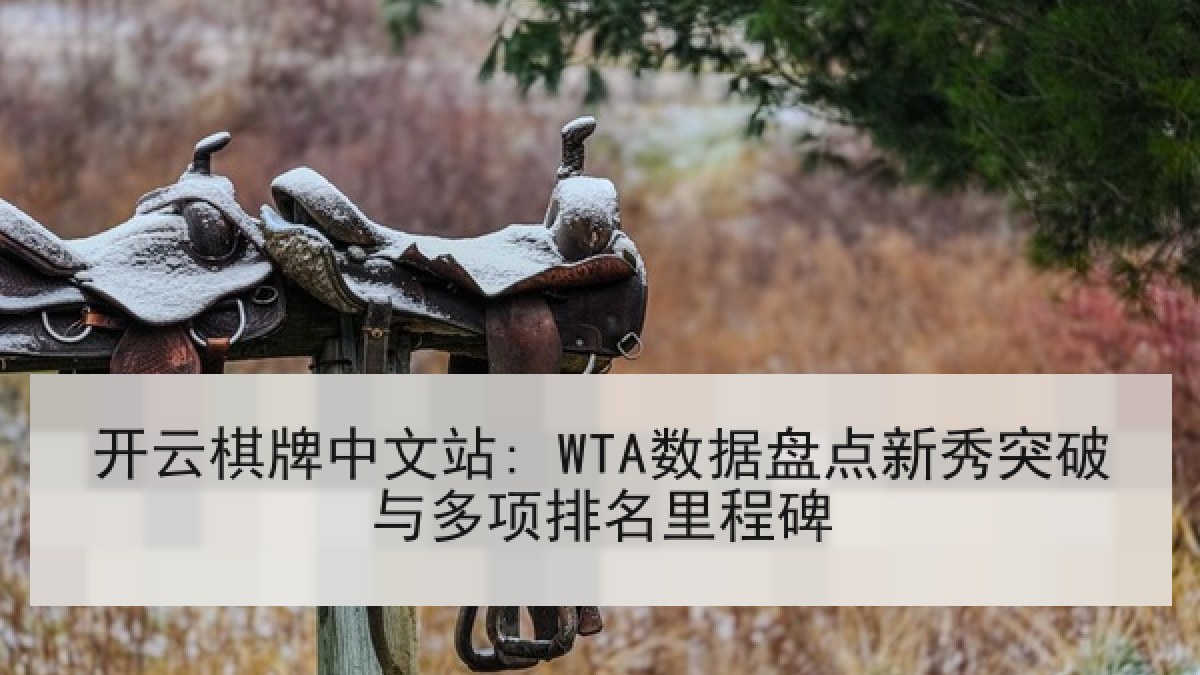 开云棋牌中文站: WTA数据盘点新秀突破与多项排名里程碑